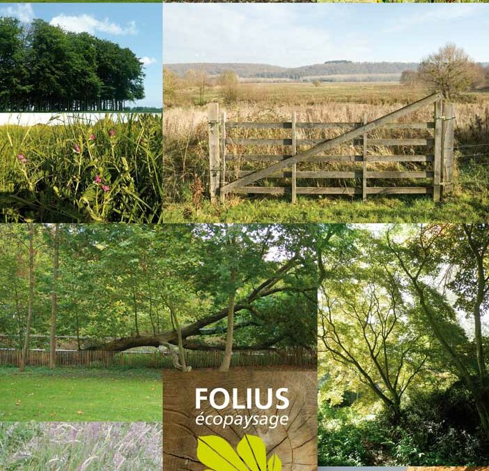 folius
